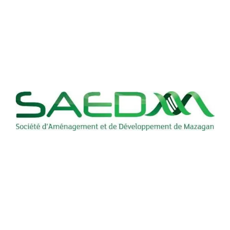 SAEDEM