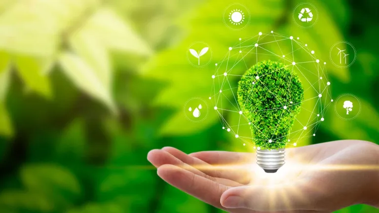 Hand holding a leafy light bulb surrounded by environmental icons